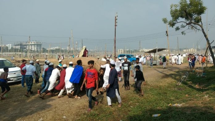 বিশ্ব ইজতেমা