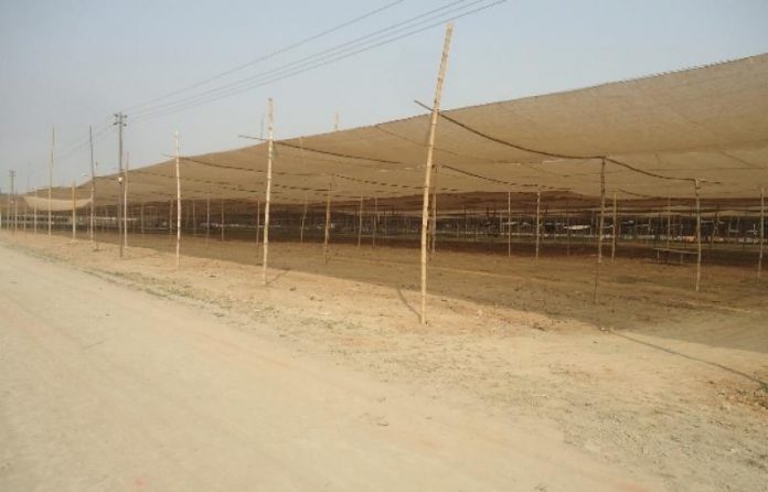 ijtema_math_tongi
