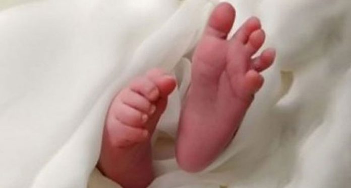 newborn_born_baby