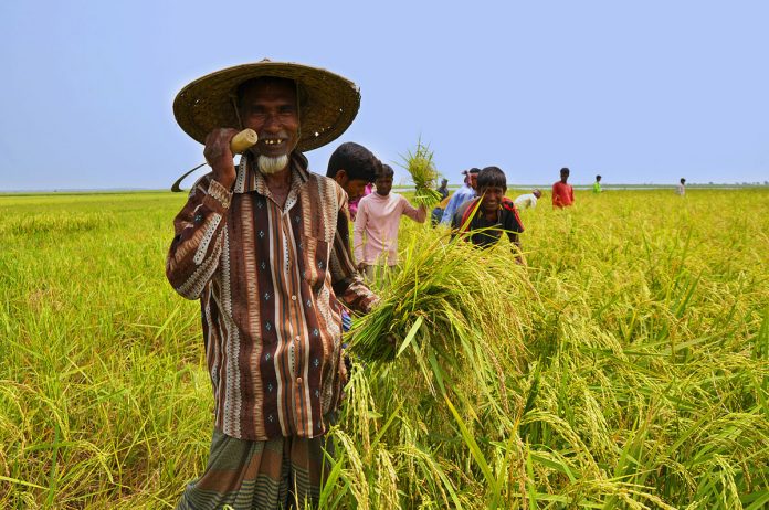কৃষক