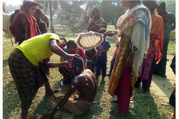 ফুলপুর ভীমরুল