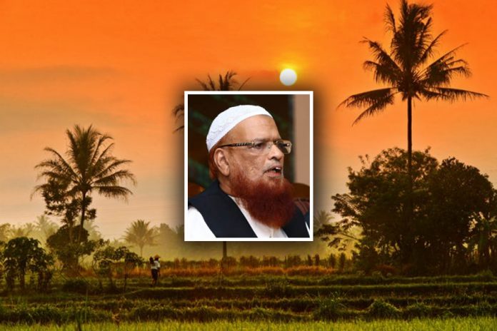 allama_taqi_usmani