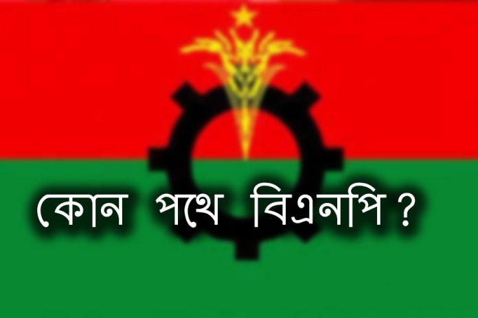 bnp_3