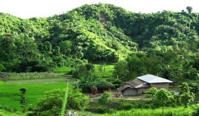 ভূমি