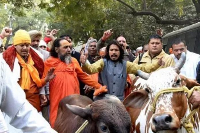 india_caw