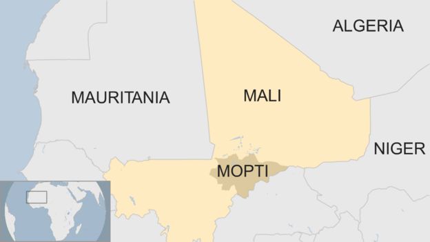 _106152128_malimopti