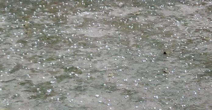 শিল