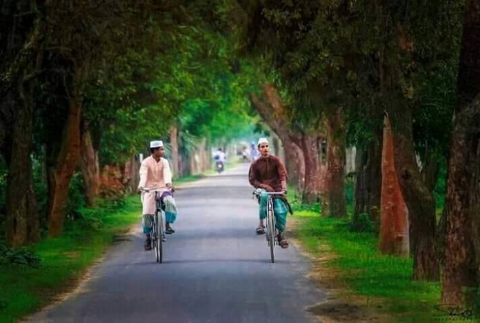 গাছ