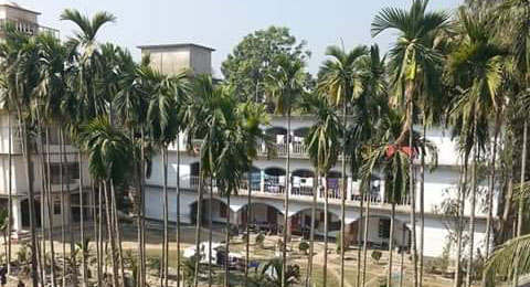 উলামা
