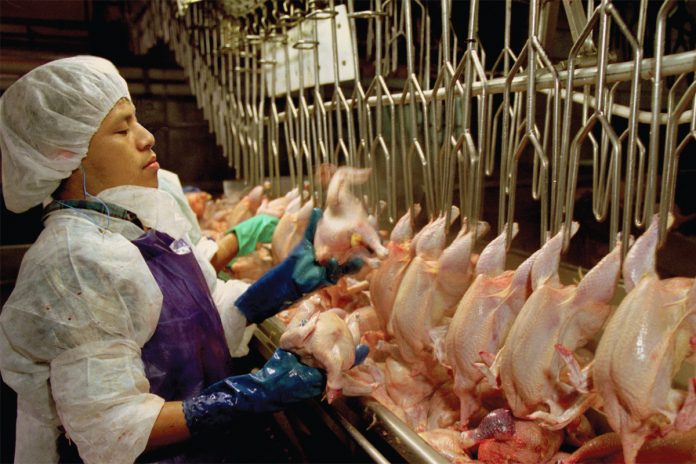 181102-line-speeds-meat-processing-osha-worker-safety-earl-dotter-top