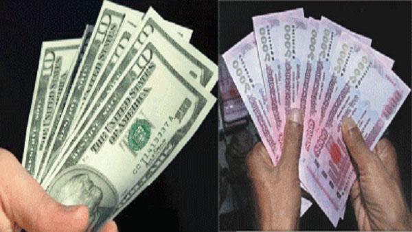24755_Dollar_long