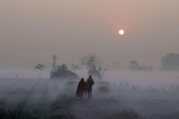 fog-5
