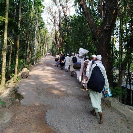 তাবলীগ