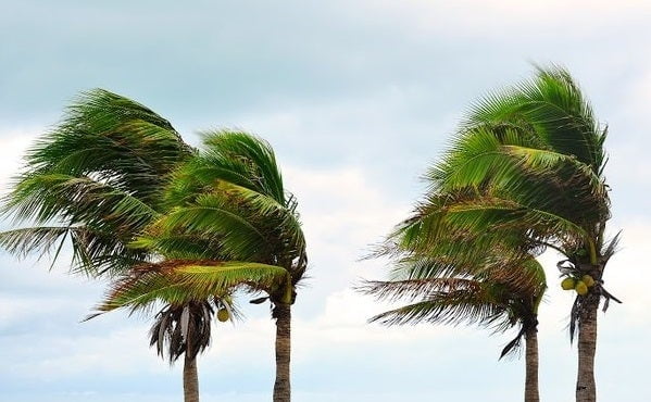 wind-1493392568-715