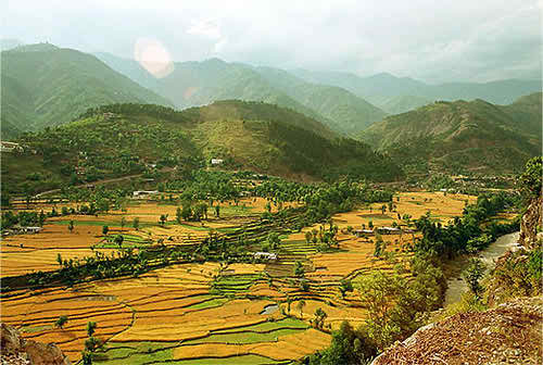 balakot2 (1)