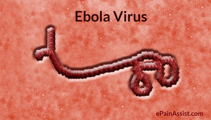 ebola-virus