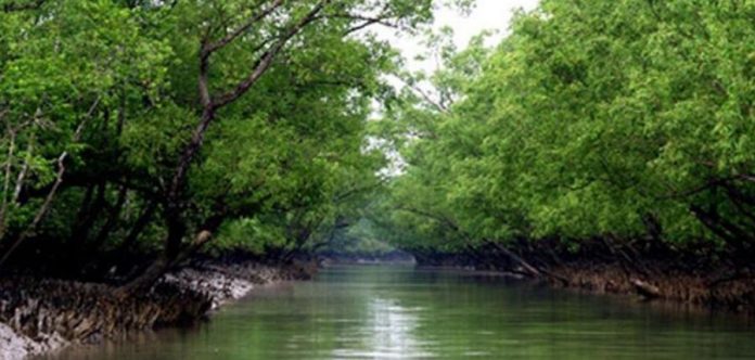 সুন্দরবন