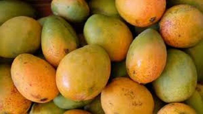 আম