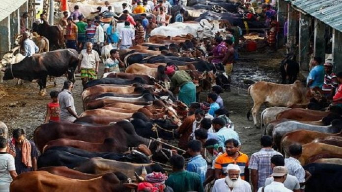 কোরবানীর হাট