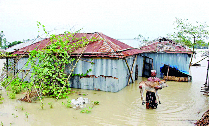 গৃহহারা