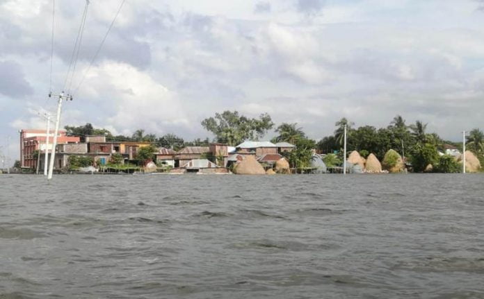 নাটোরে বন্যা