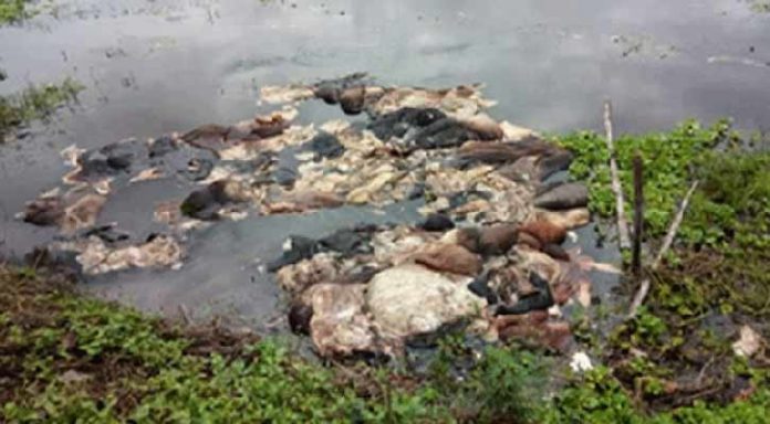 খাল