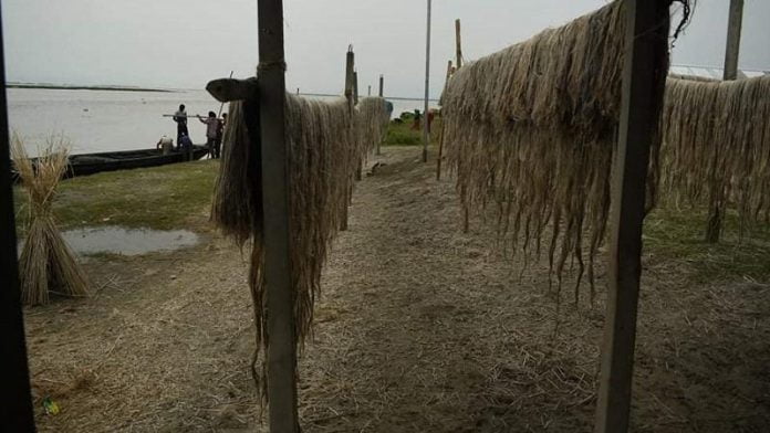 পাট