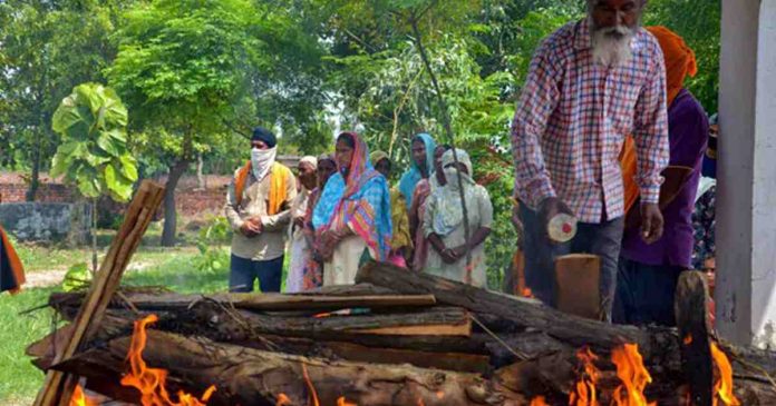 বিষাক্ত মদ