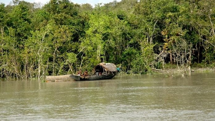 সেুন্দরবন