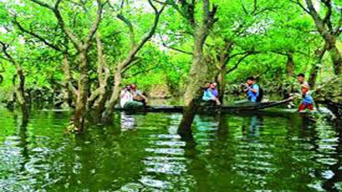 পর্যটন এলাকা