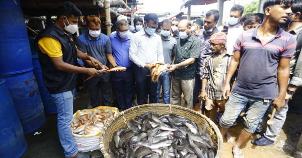 পিরানহা