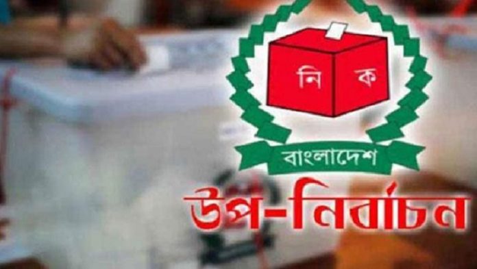 উপনির্বাচন