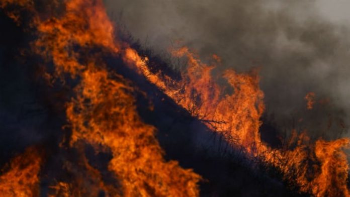 xwildfires-1609498518.jpg.pagespeed.ic.wkt_zWiHAt