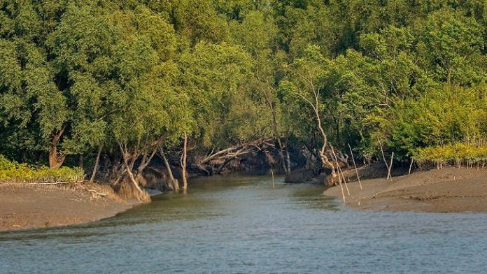 সুন্দরবন